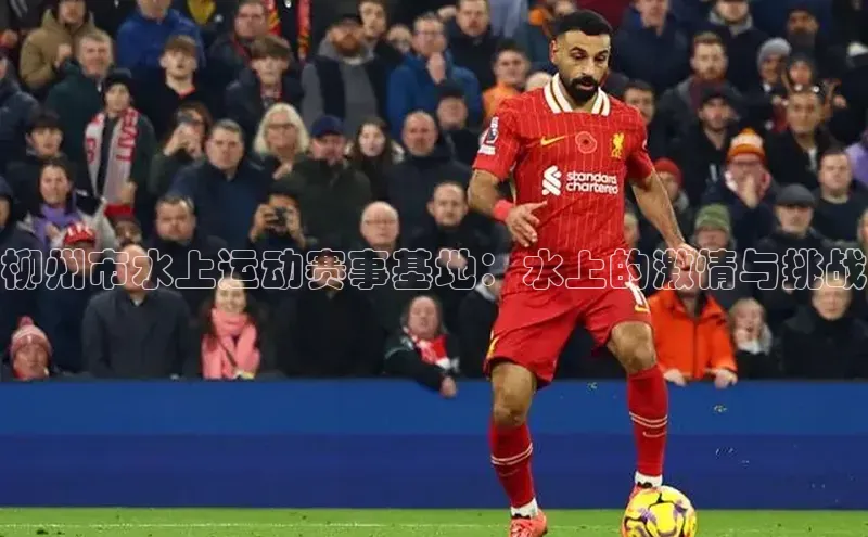 欧陆娱乐app下载阿里尔公司