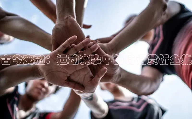 欧陆娱乐登录入口官网宇信科技