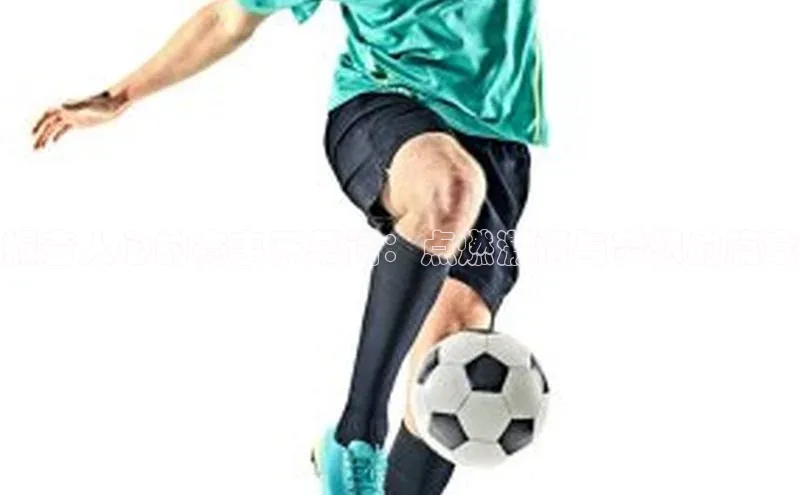 欧陆娱乐平台登录app