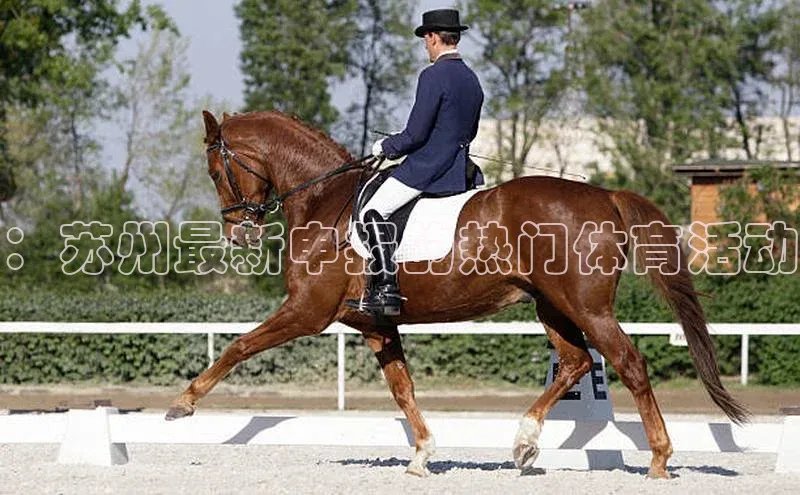 欧陆注册APP官方下载