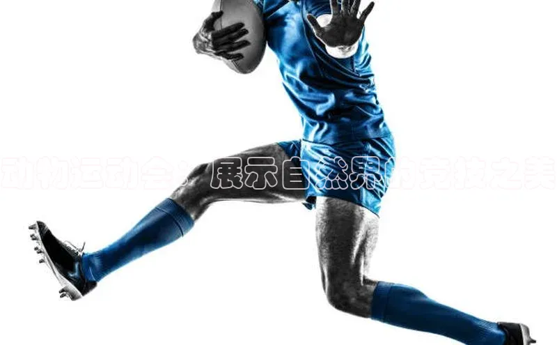 欧陆娱乐平台登录