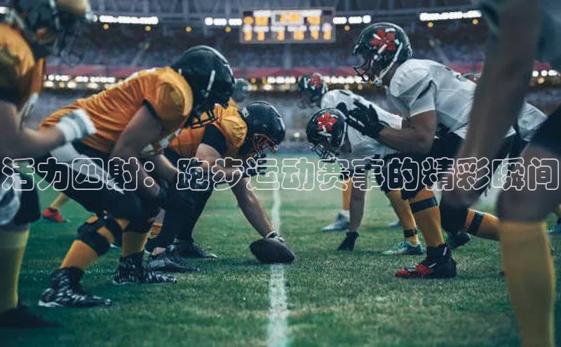 欧陆平台登录地址